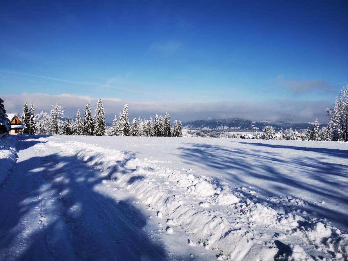 Heidi Villa Zakopane Eksteriør bilde